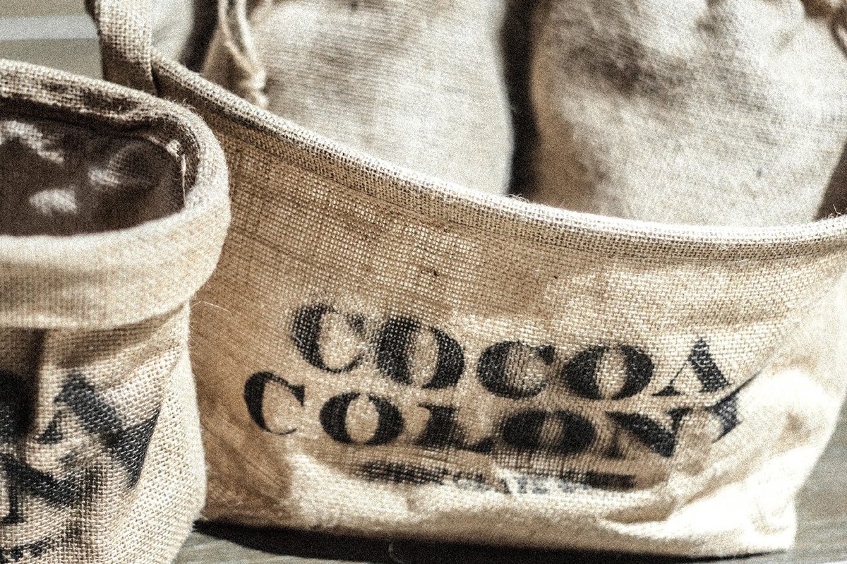 Cocoa Colony食品品牌设计案例