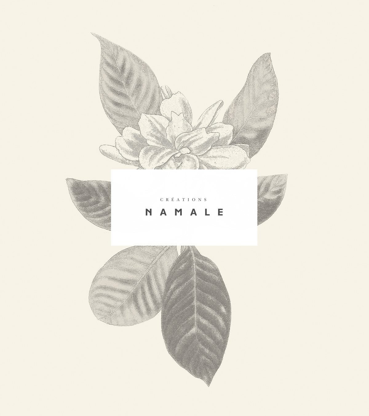 Namale珠宝品牌形象定位设计