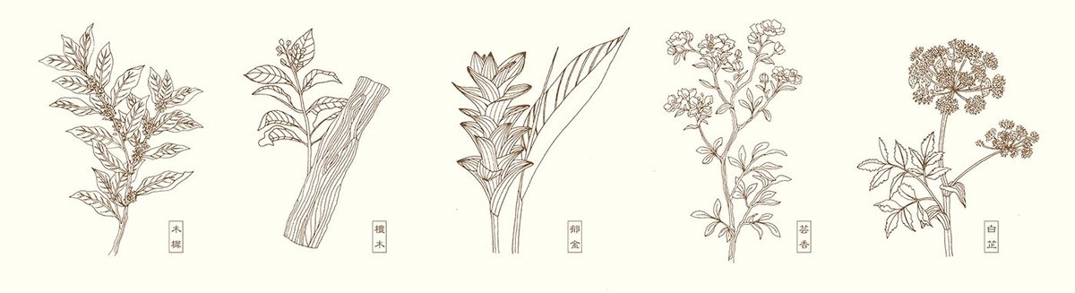 Herbscent香薰品牌形象设计