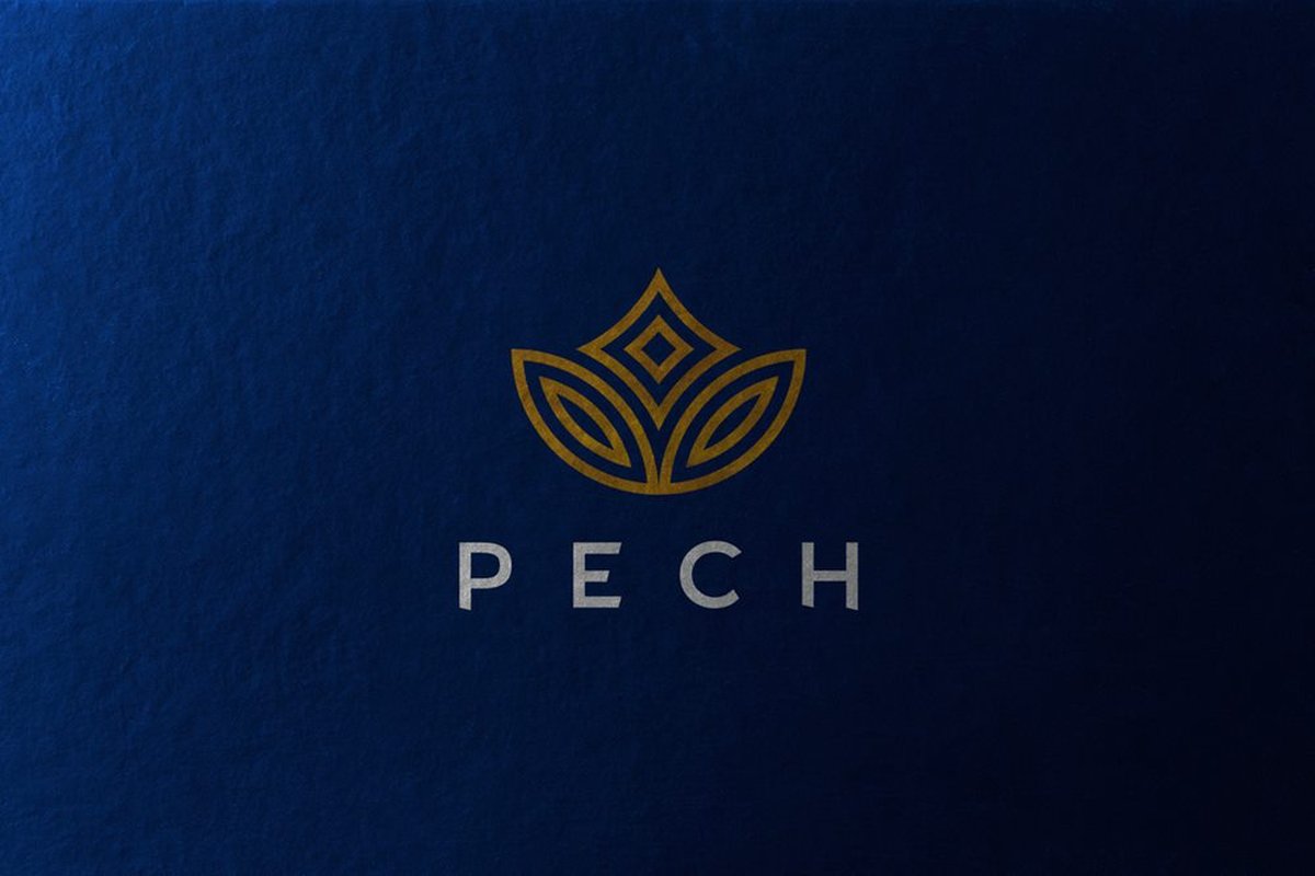PECH化妆品品牌设计