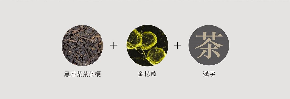 菌茶茶叶品牌设计  标志设计说明