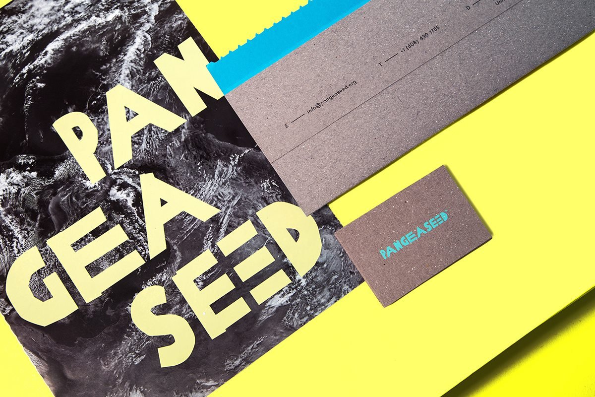 “PangeaSeed”时尚周刊VI设计形象  画册设计展示