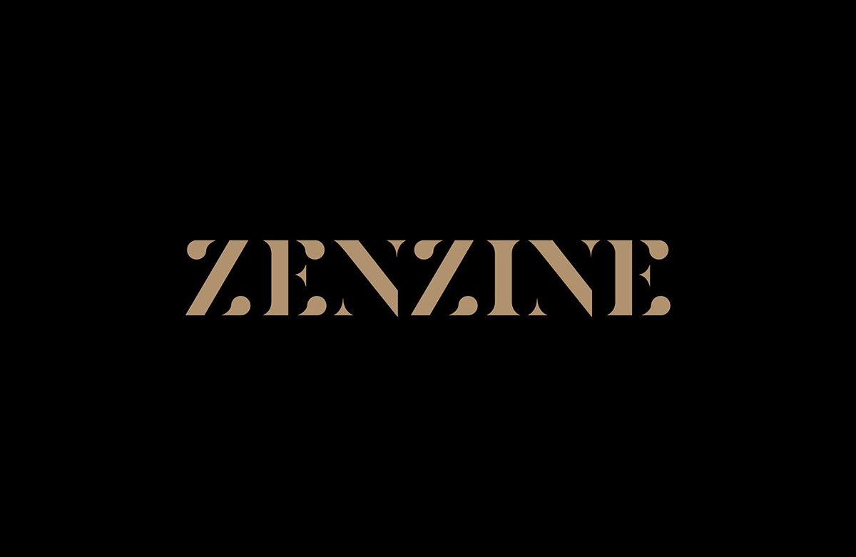 Zenzine画册VI形象设计展示  标志设计
