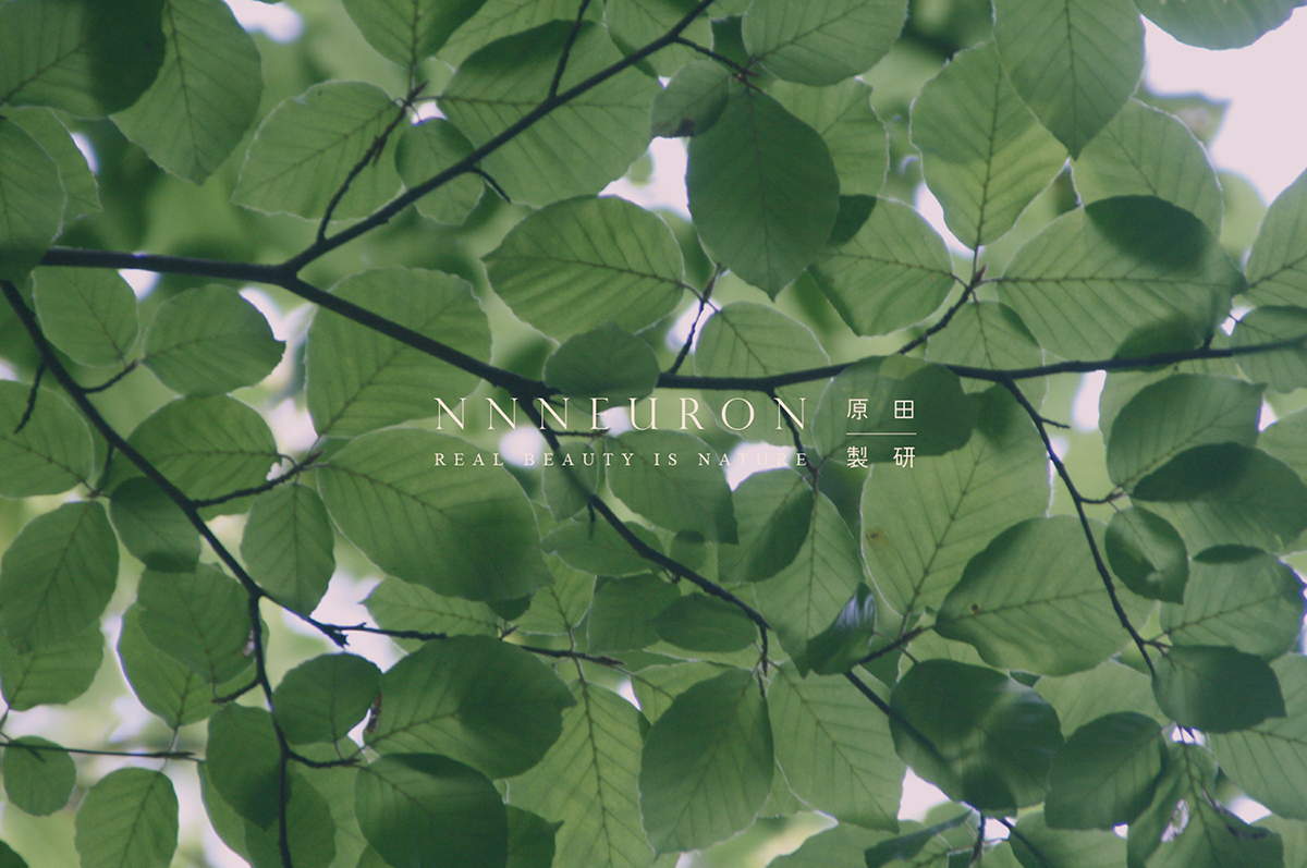深圳VI设计  深圳VI策划  NNNEURON原田制研保养品VI形象  标志设计