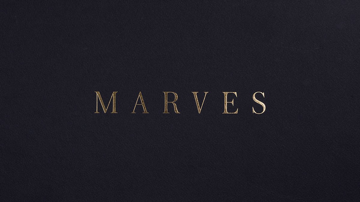 深圳品牌设计  深圳品牌策划  MARVES女性时尚服装品牌形象设计   标志设计