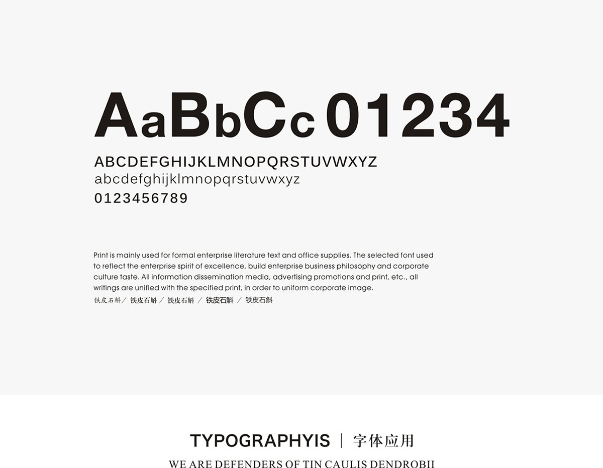 深圳VI设计  深圳VI策划  铁皮石斛VI形象设计展示  文字设计
