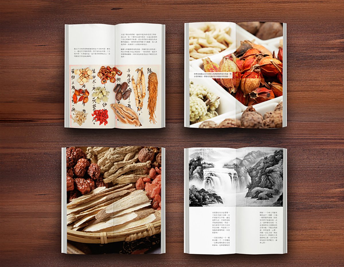 品牌设计、标志设计、品牌形象设计、包装设计、画册设计