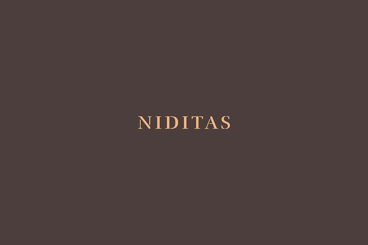 NIDITAS优秀马术酒店vi品牌设计欣赏，vi设计，品牌vi设计，马术酒店vi设计，酒店vi设计，酒店品牌vi，深圳vi设计，左右格局