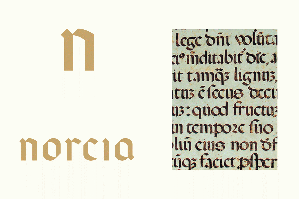 （食品）Norcia 火腿品牌vi设计和logo设计案例，vi设计，食品vi设计，食品品牌vi设计，品牌logo设计，品牌vi设计，vi品牌策划，深圳vi设计，左右格局