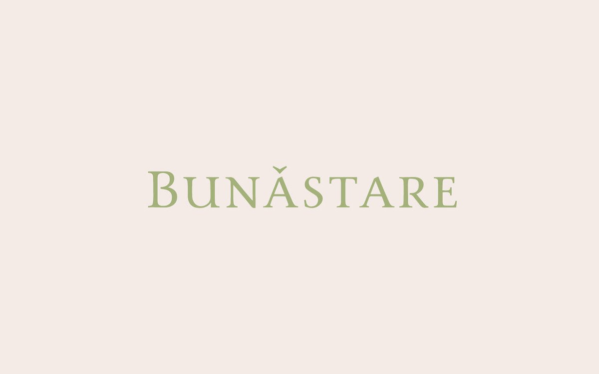 BUN?STARE美容品牌包装vi设计——有机化妆品品牌视觉设计，vi设计，视觉设计，化妆品品牌vi设计，化妆品vi设计，企业vi设计，品牌vi设计，美容品牌vi设计，vi品牌策划，深圳vi设计，左右格局