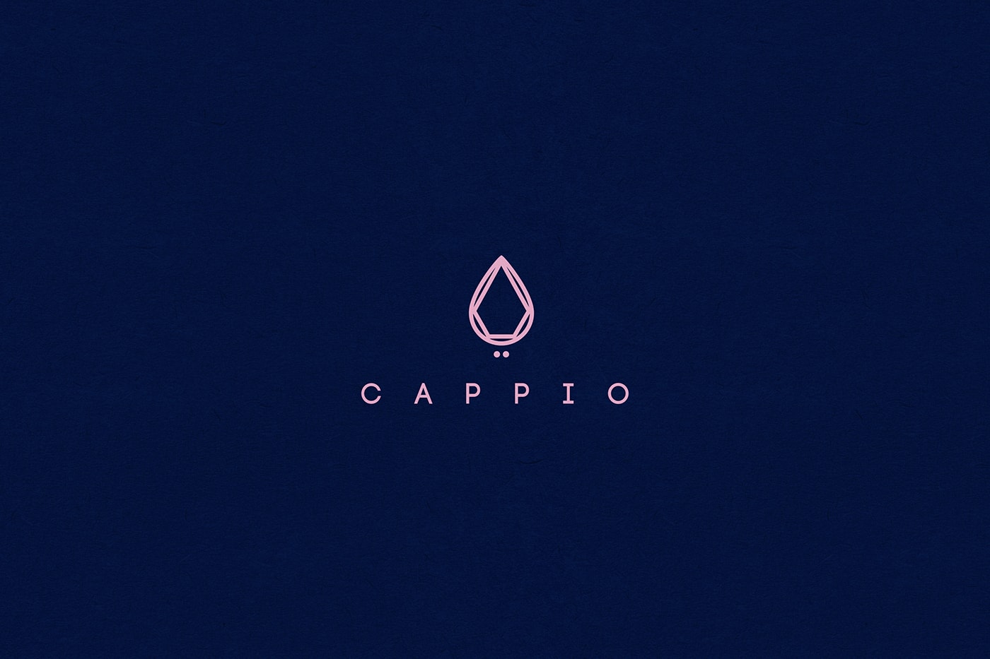 Cappio 服装珠宝企业品牌全案策划案例，服装VI设计，品牌全案策划，企业形象设计，深圳VI设计，左右格局
