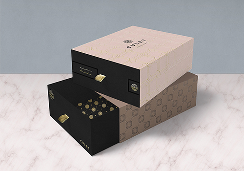 精致奢华的当代首饰珠宝品牌VI设计