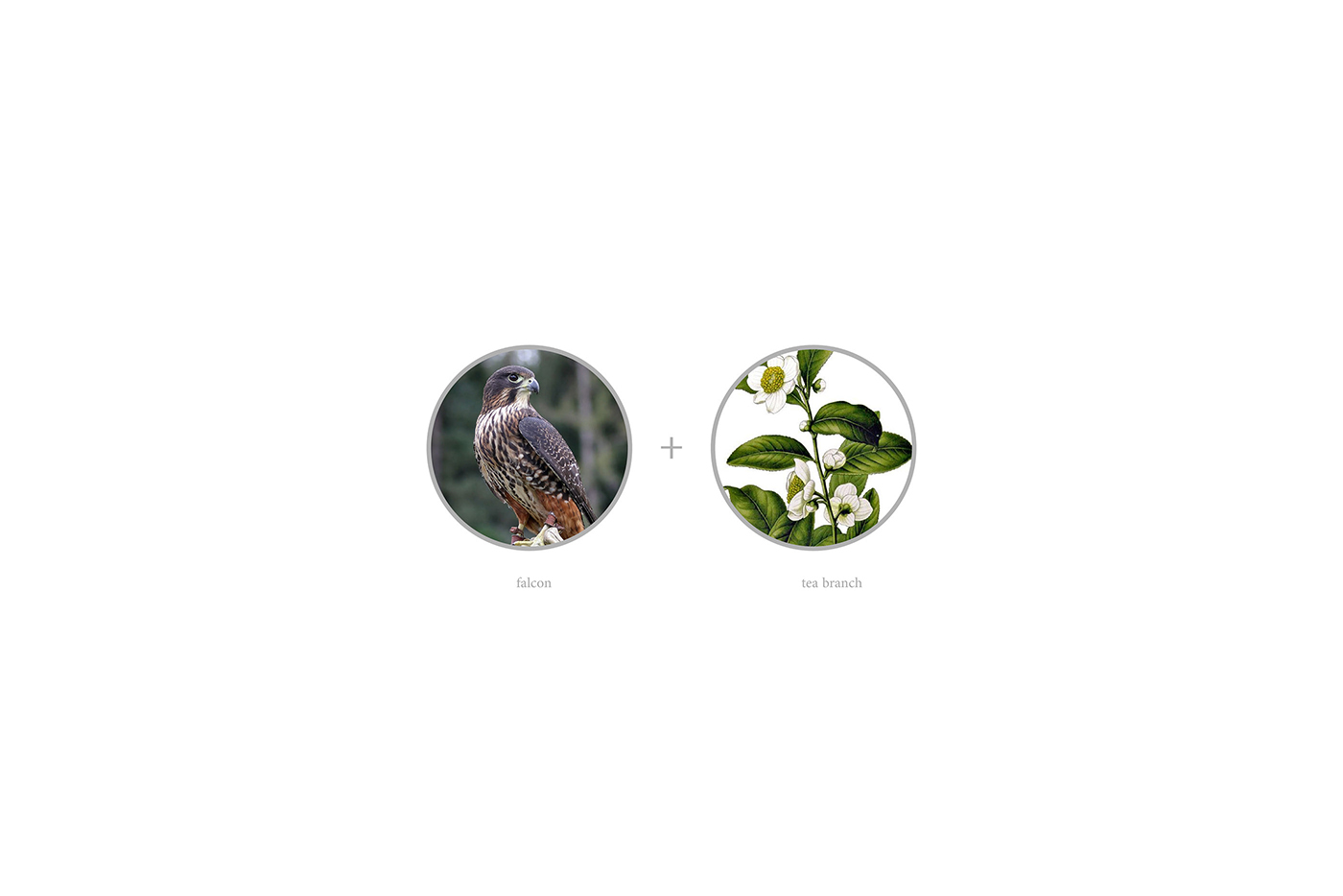 优质茶品牌重塑，茶叶品牌形象设计，茶叶品牌策划，深圳茶叶vi设计