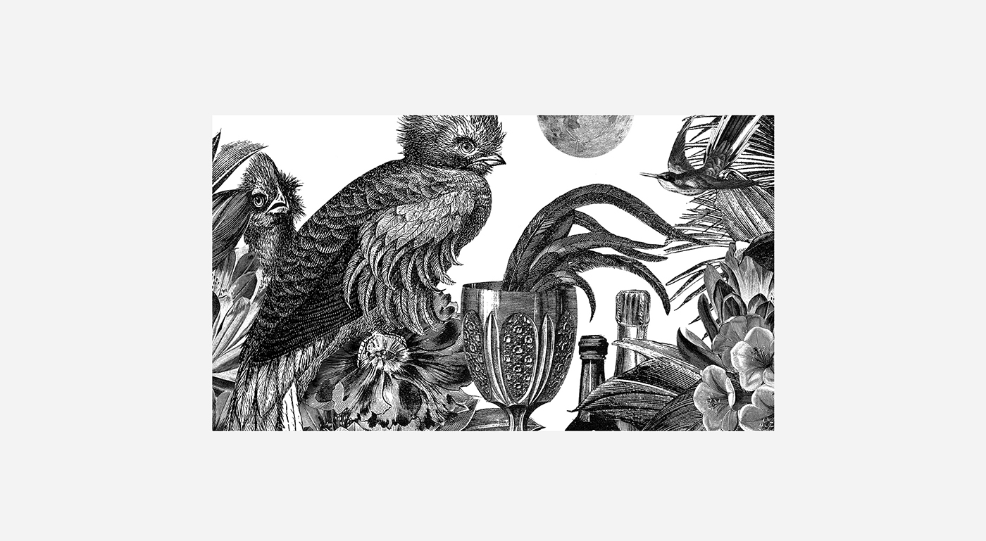 鸡尾酒vi设计，特色鸡尾酒品牌设计，深圳饮料品牌策划，深圳vi设计