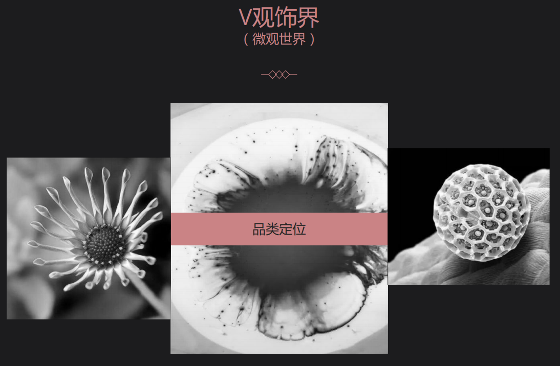Vsense品牌策划之品类创新