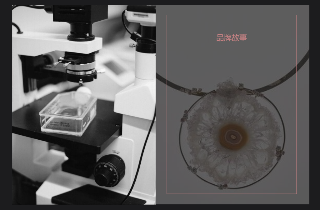 Vsense，从0到1的时尚品牌孵化